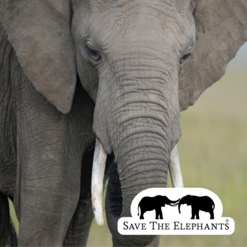 Donate | Wildlife Conservation Network